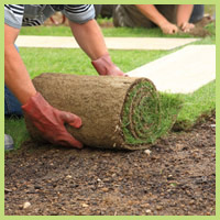 Mantenimiento de sus jardines y piscinas