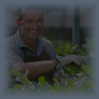Jardinería para empresas y oficinas